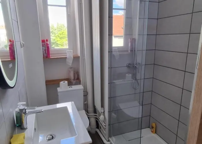 Apartment T5 Renove Centre Dijon